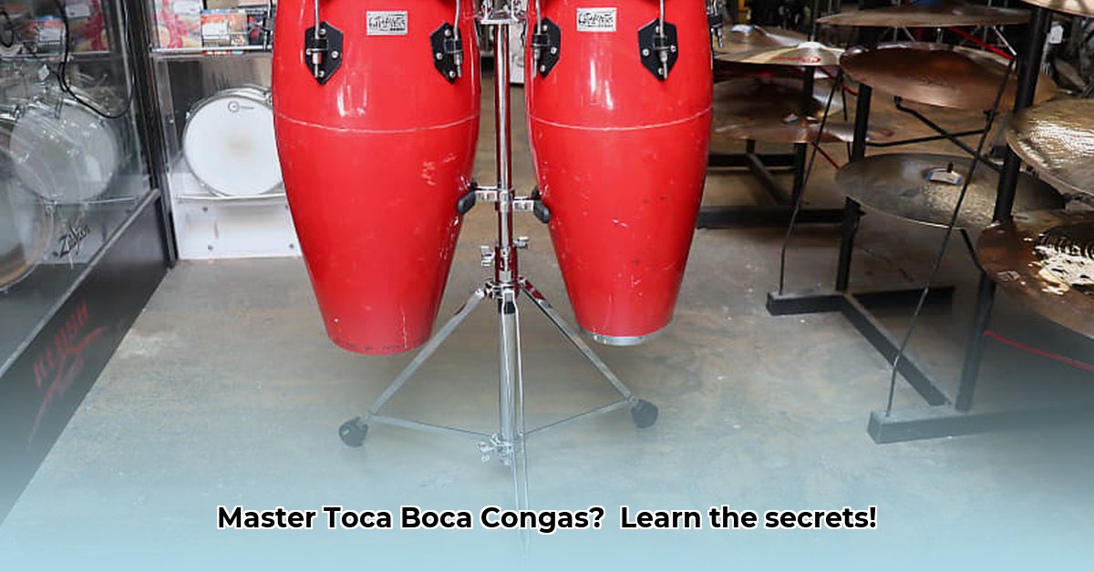 congas-toca-players-series